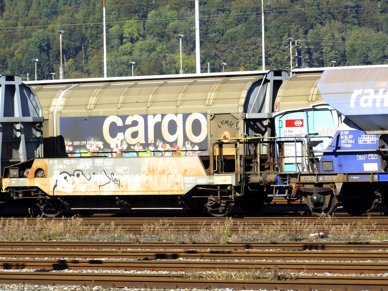transport of goods cargo goods wagons free photo
