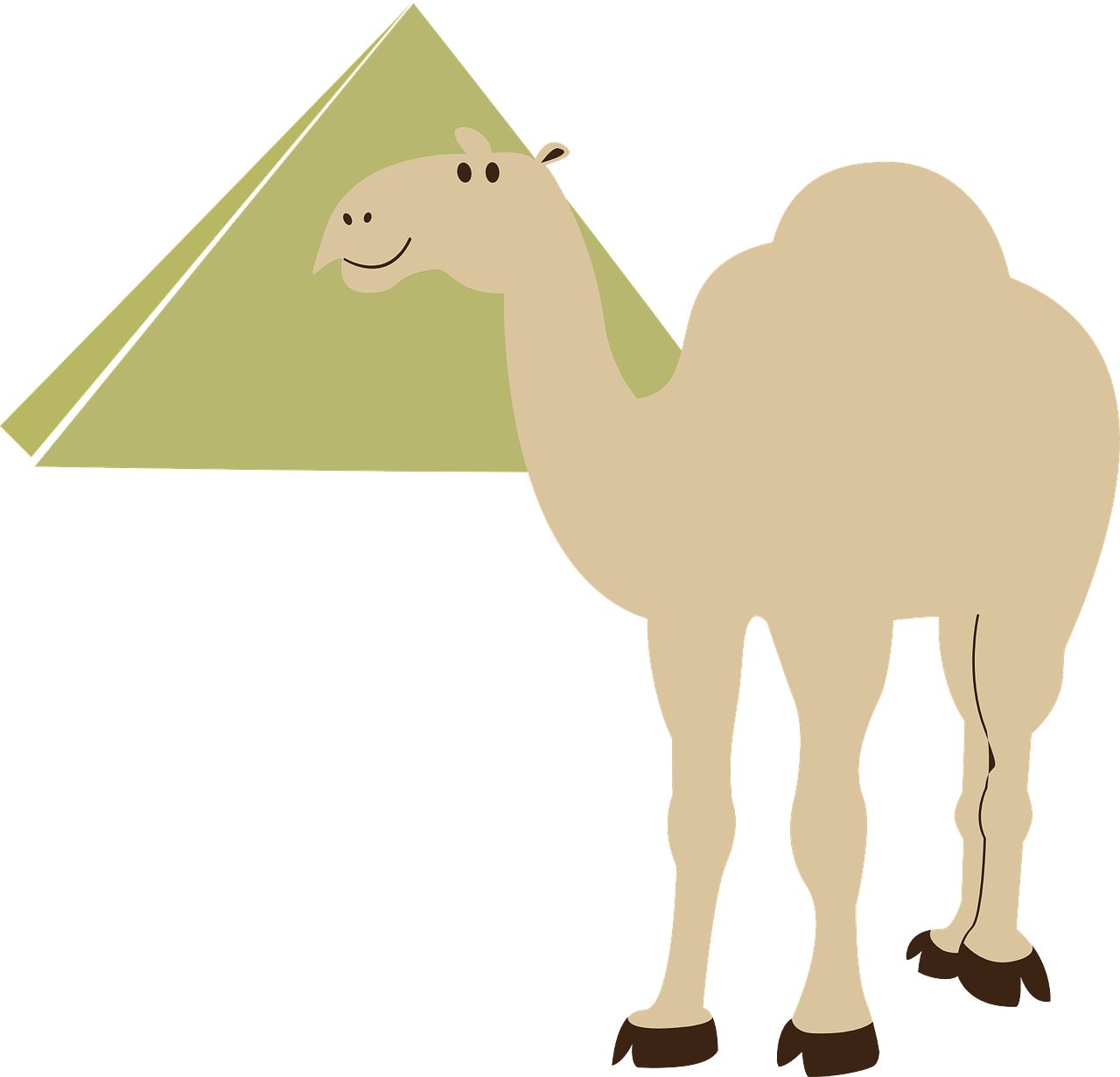 transportation camel pyramid free photo