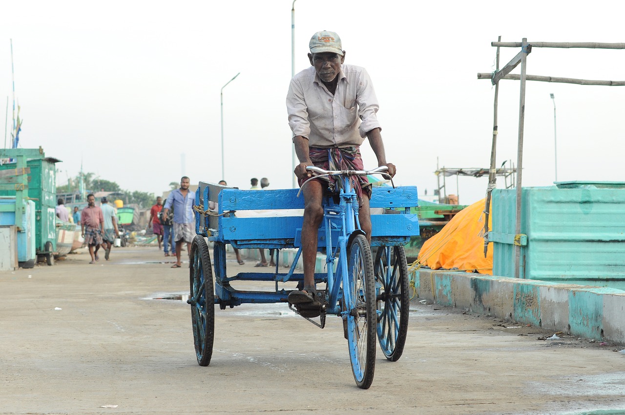 transportation system  people  street free photo