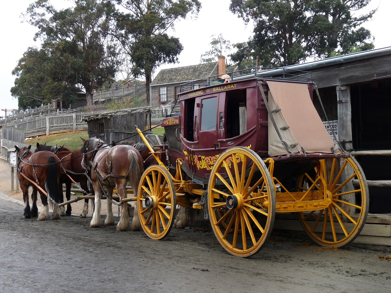 transportation system  carriage  cart free photo