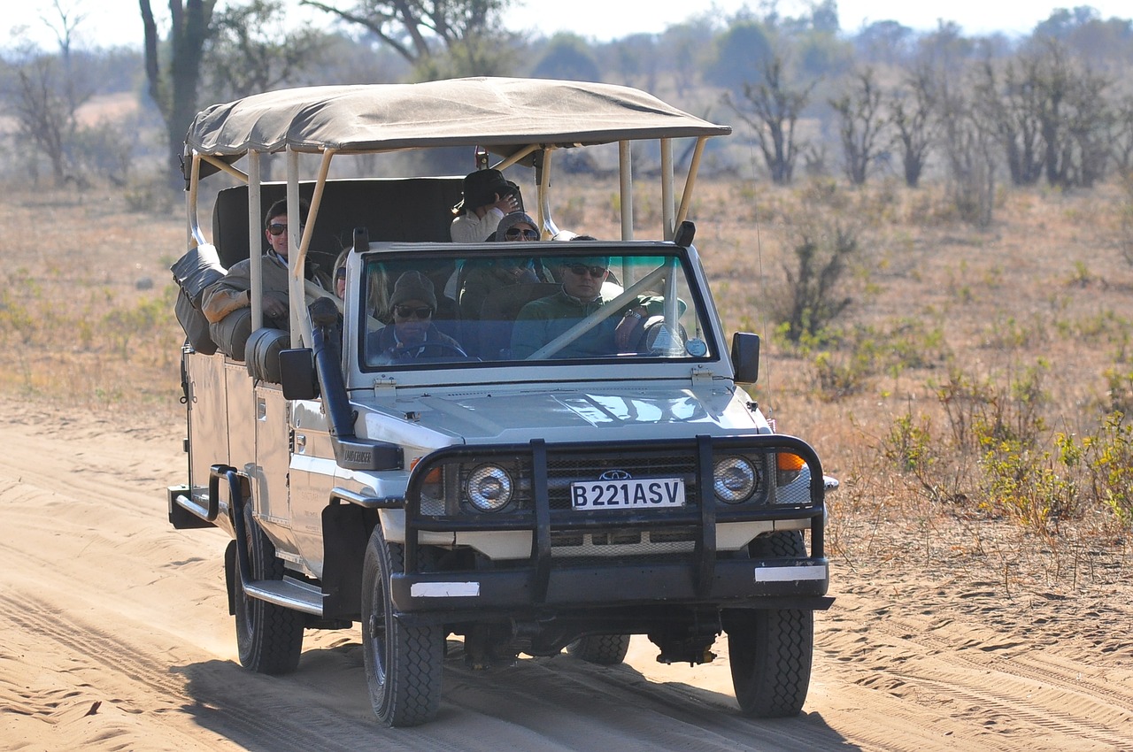 transportation system  vehicle  truck free photo