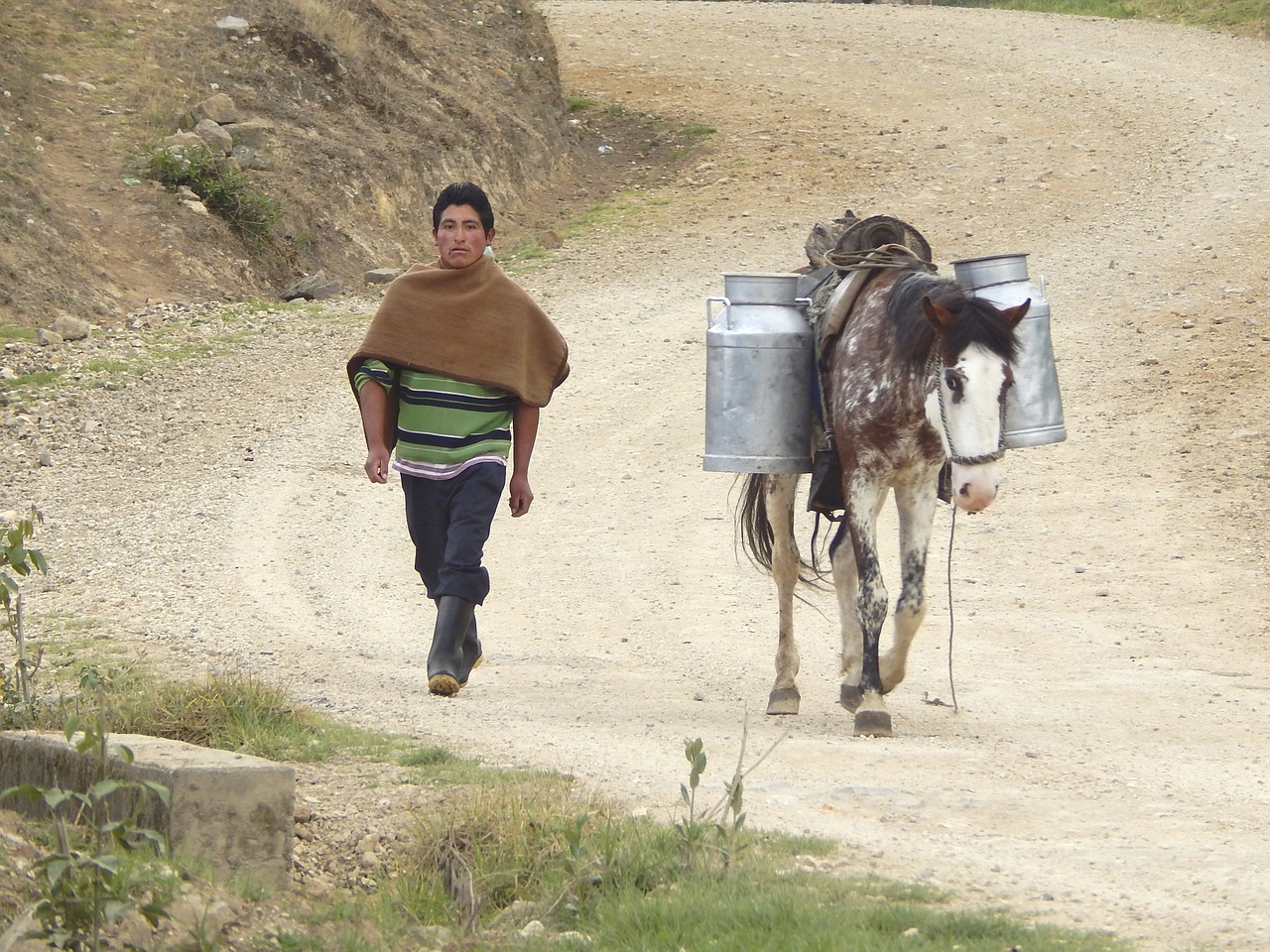 transporte leche cajamarca free photo