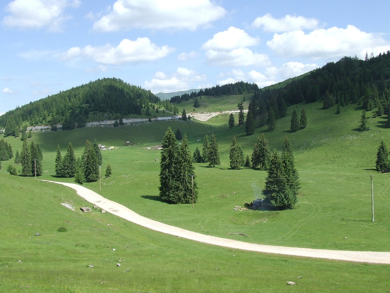 transylvania padis forest free photo