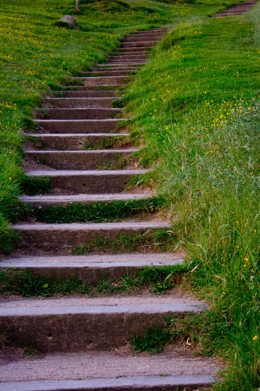 trap grass act free photo