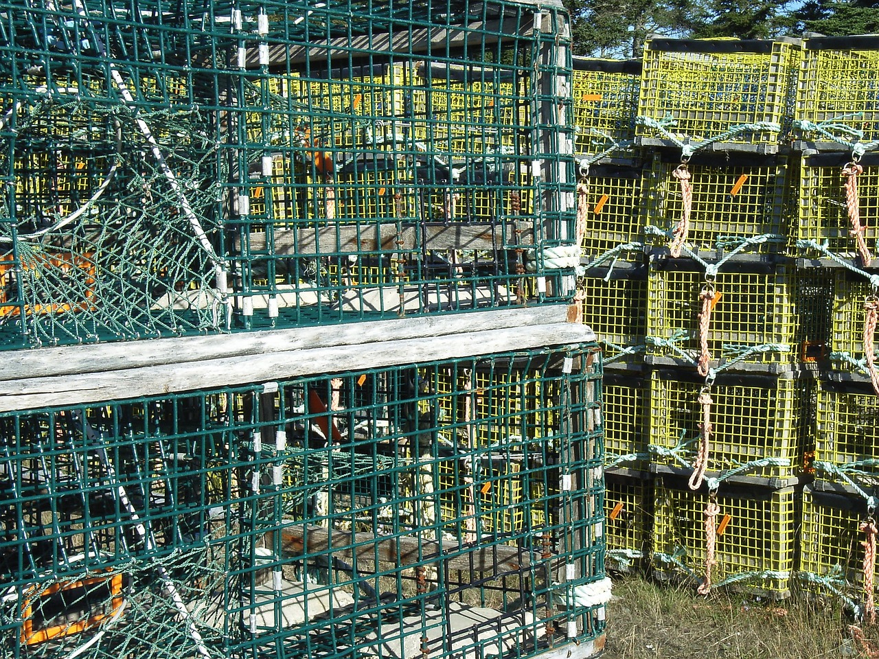 traps pots lobster free photo