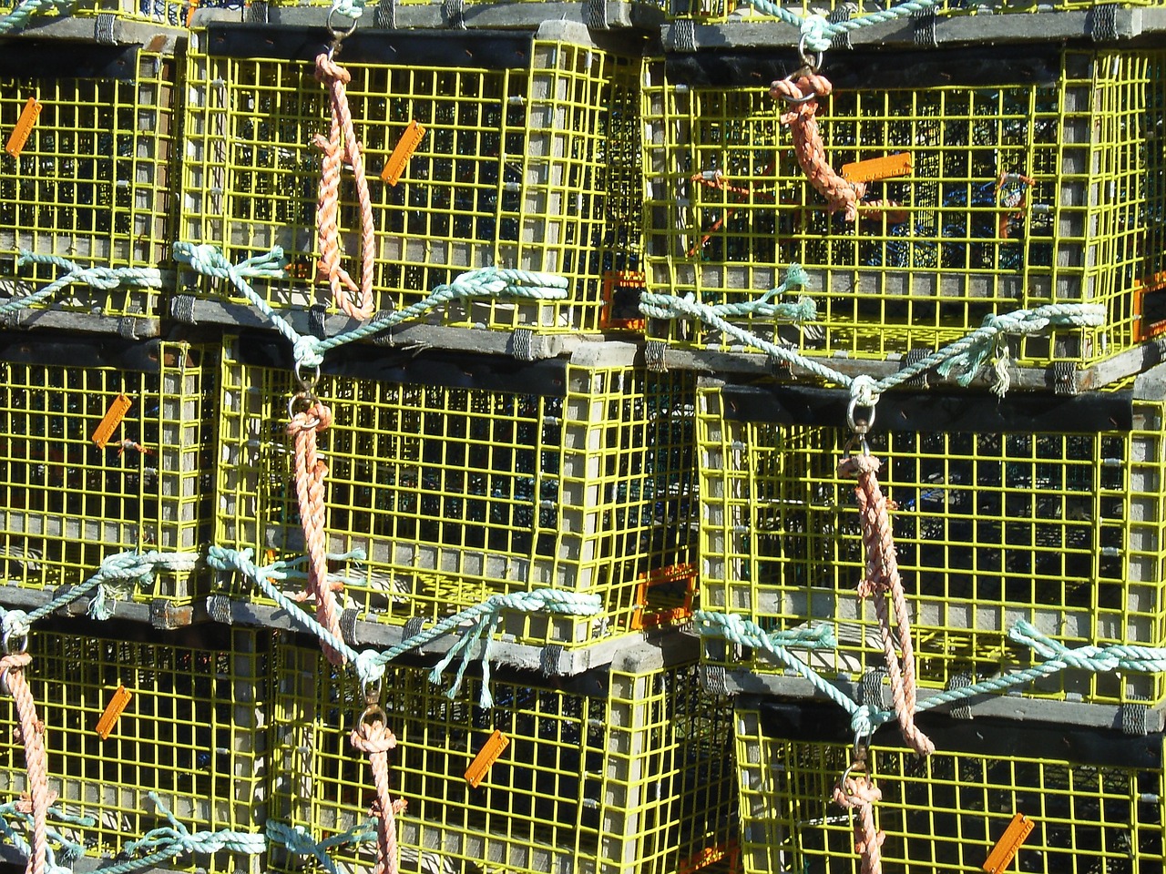 traps pots lobster free photo