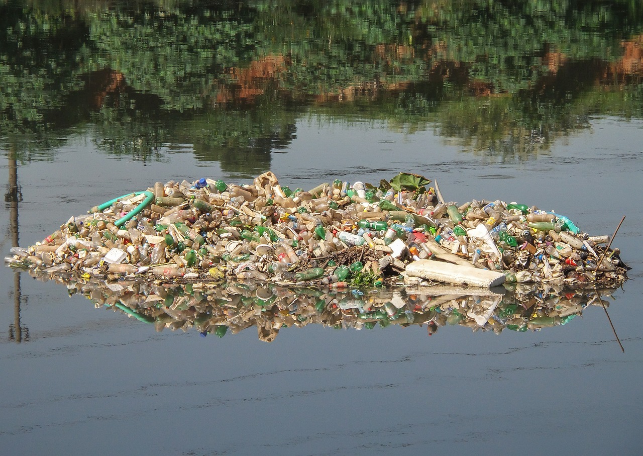 trash river pines rubble free photo