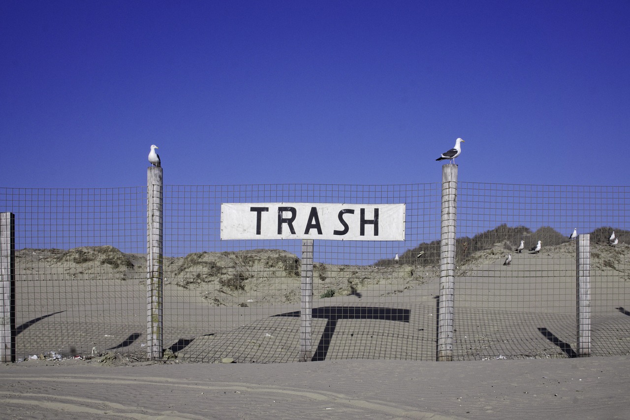 trash  seagulls  sign free photo