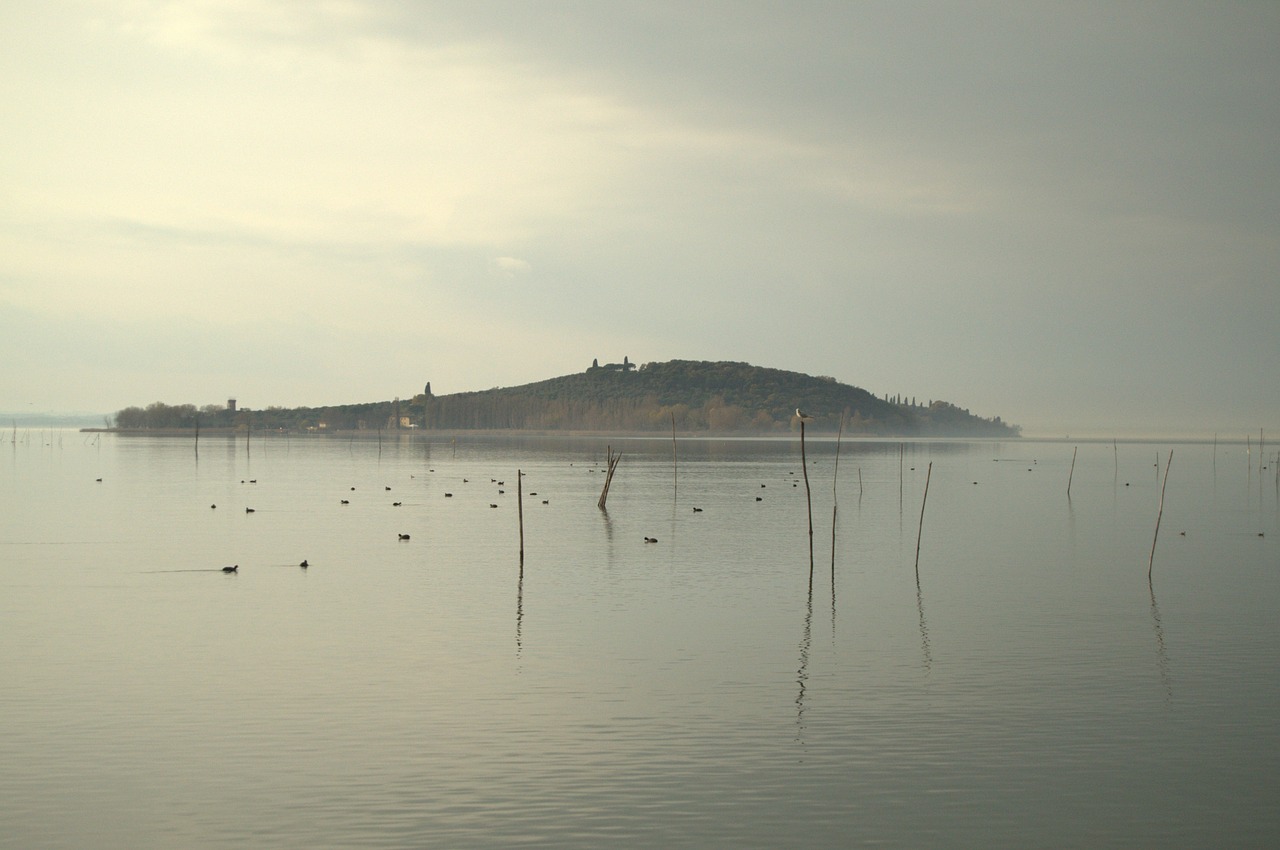 lake trasimeno view free photo