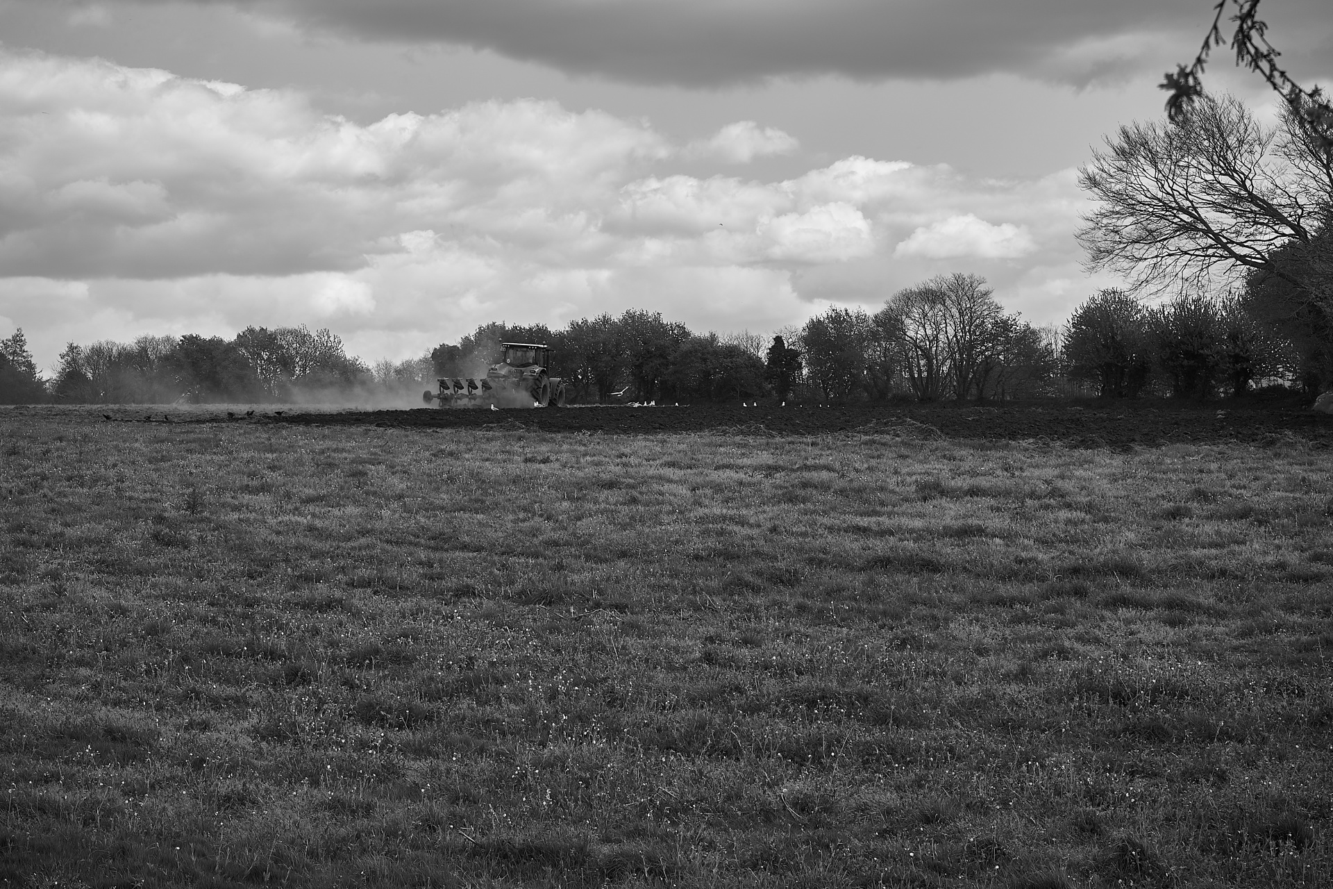 agriculture peasants farm free photo