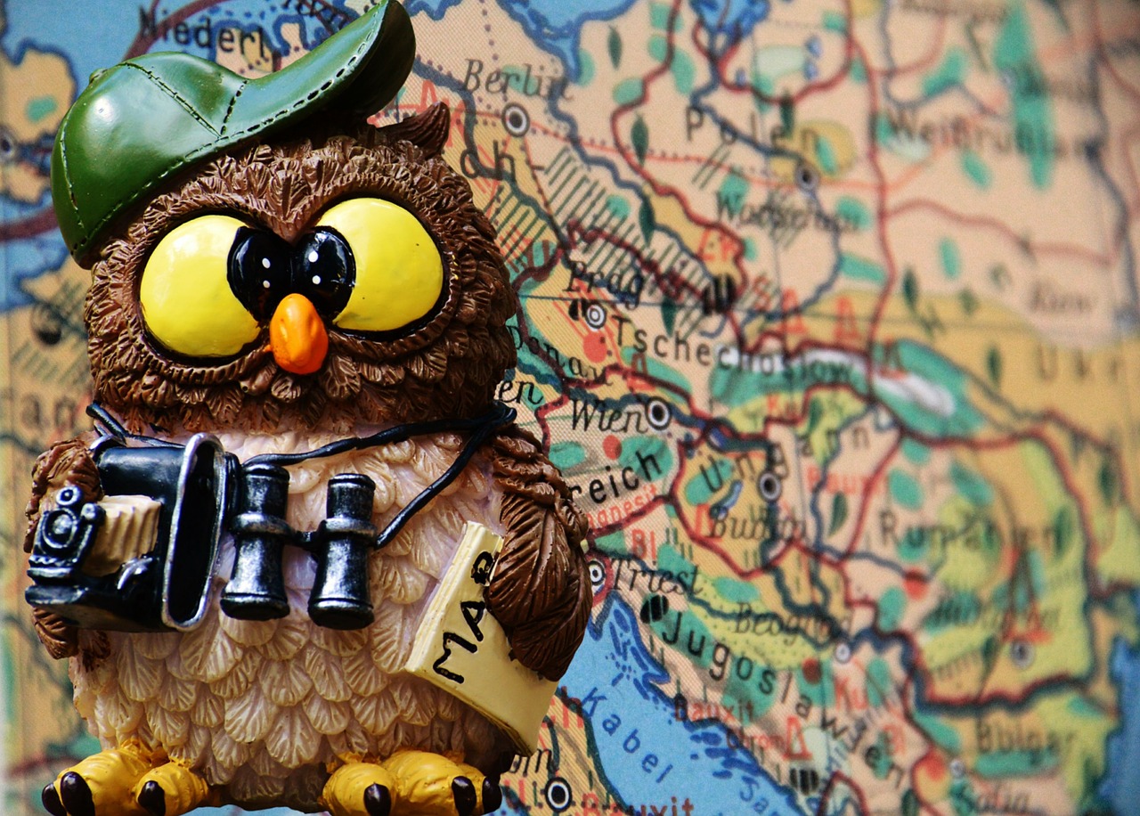 travel tourist owl free photo