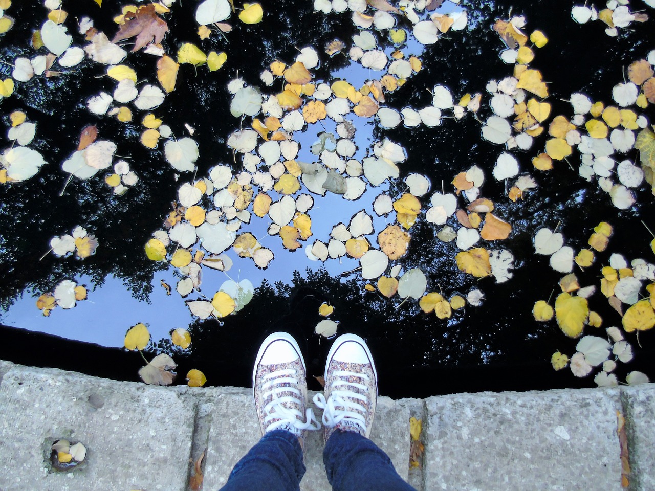 feet autumn lawn free photo