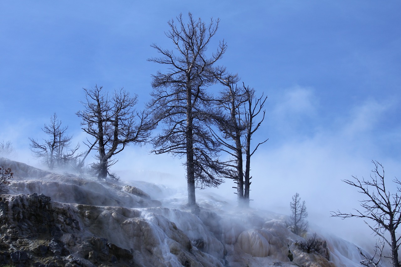 travel yellowstone nature free photo