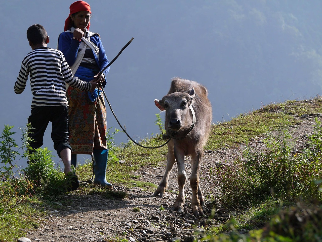 travel nepal hiking free photo