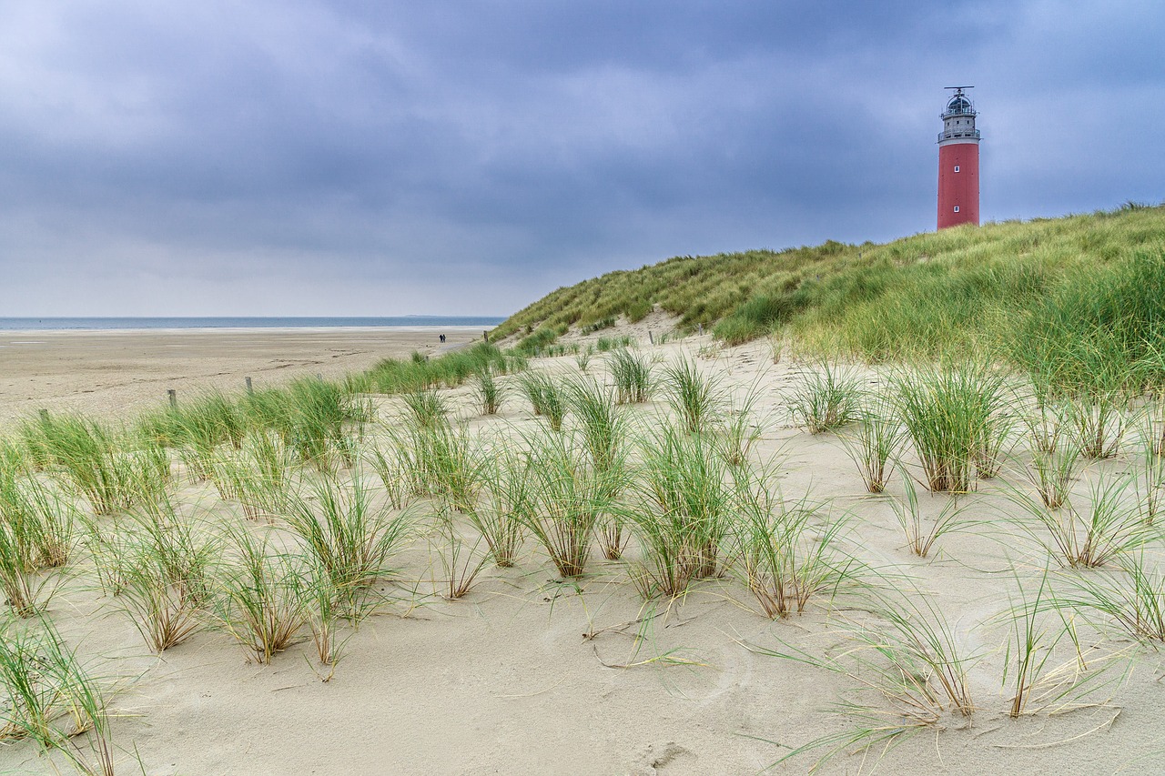 travel landscape holland free photo