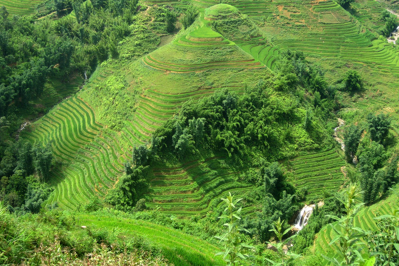 travel vietnam sapa free photo