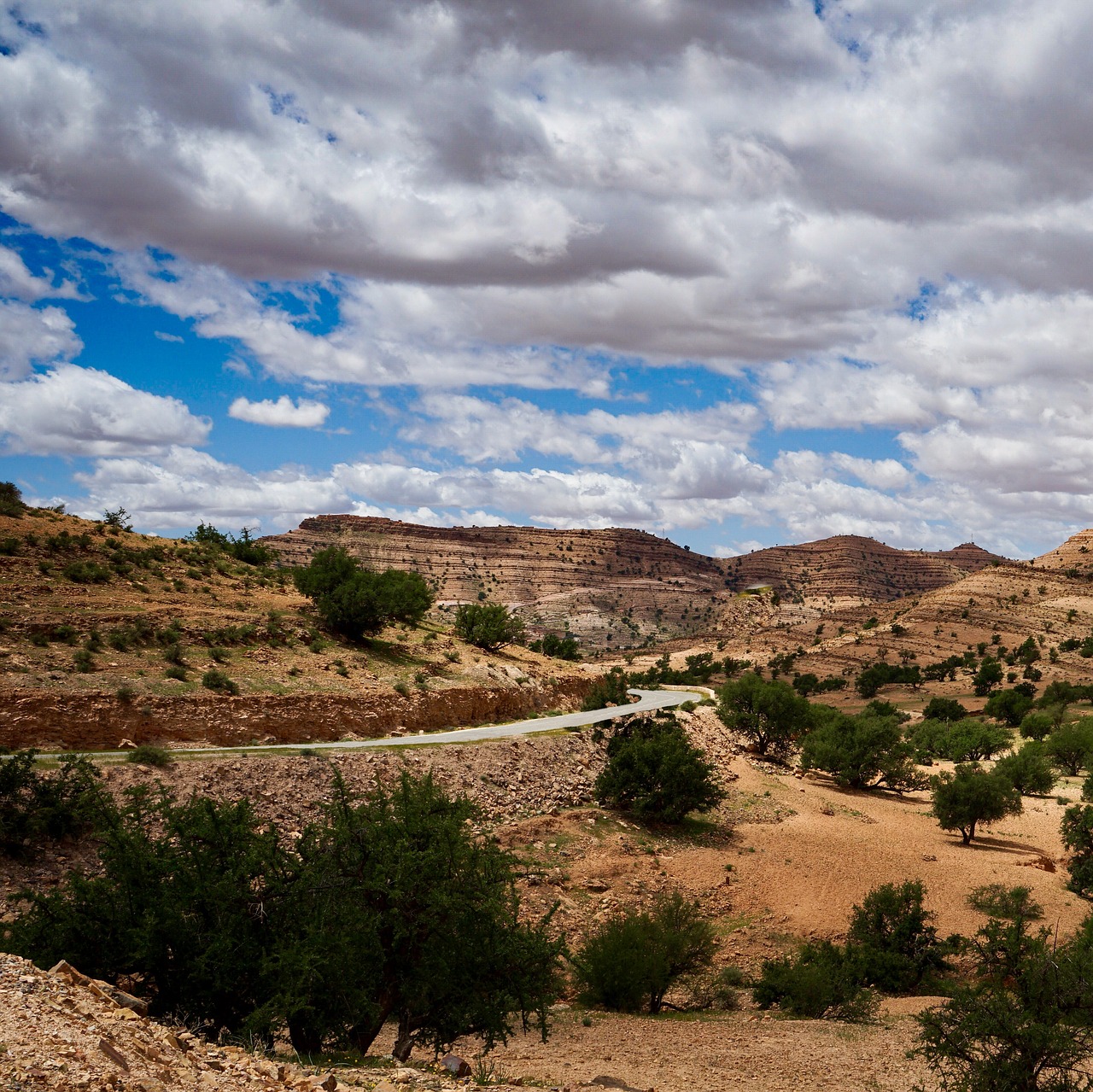 travel  landscape  desert free photo