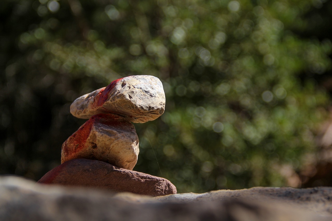 Way stones. Камень из джунглей. Камень на пути. Путти на Камне. Дневник камня в лесу.