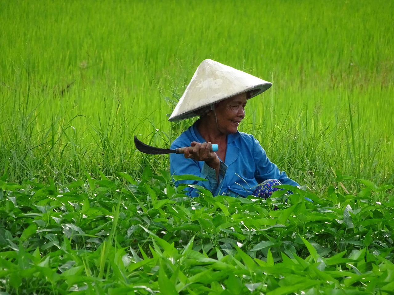 travel  asia  cambodia free photo