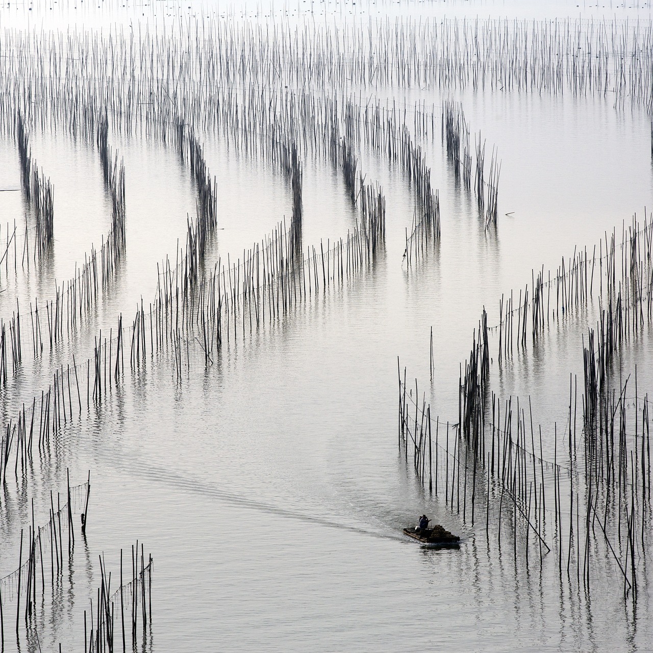 travel fishermen river free photo