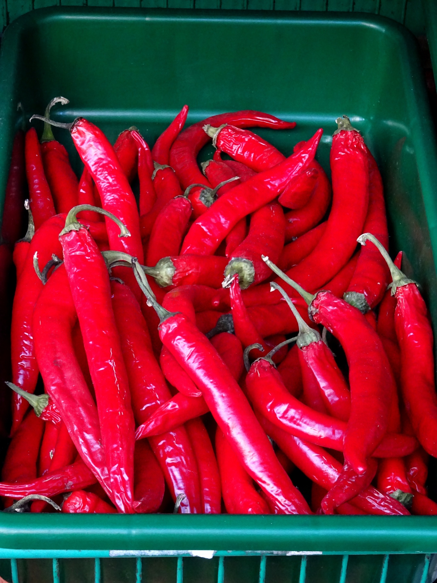 chili chilies spice free photo