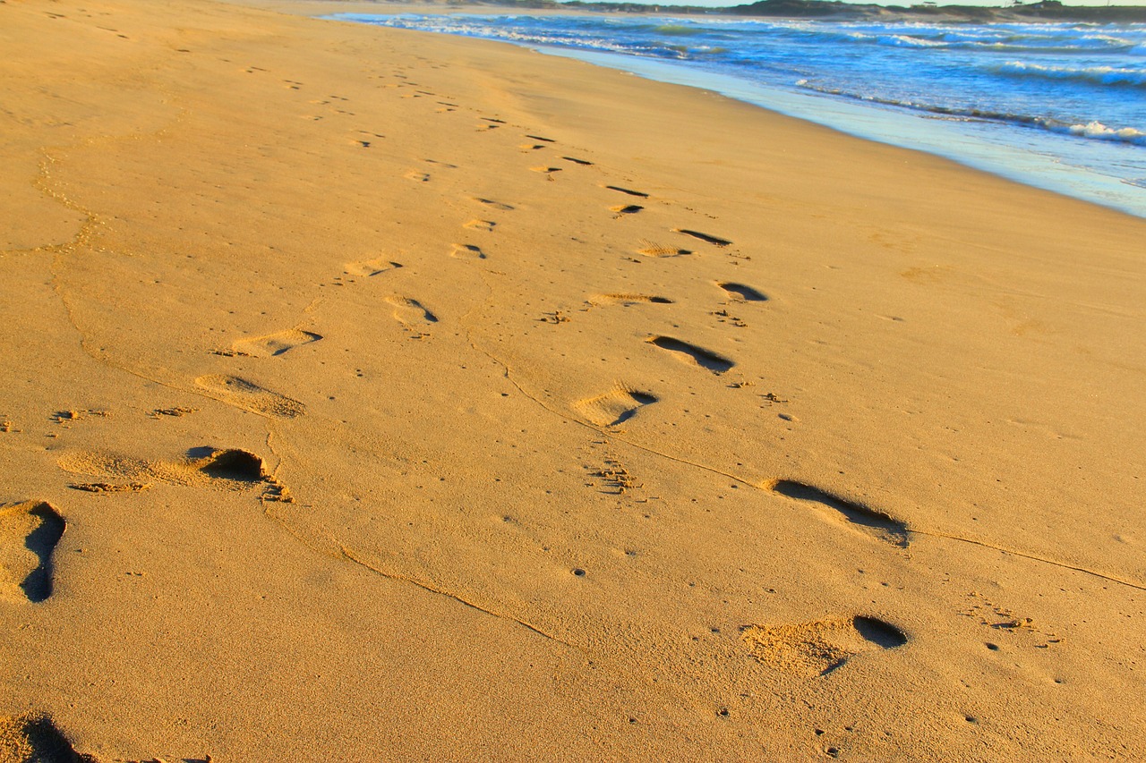 treads  in the sand  chalacatepec free photo