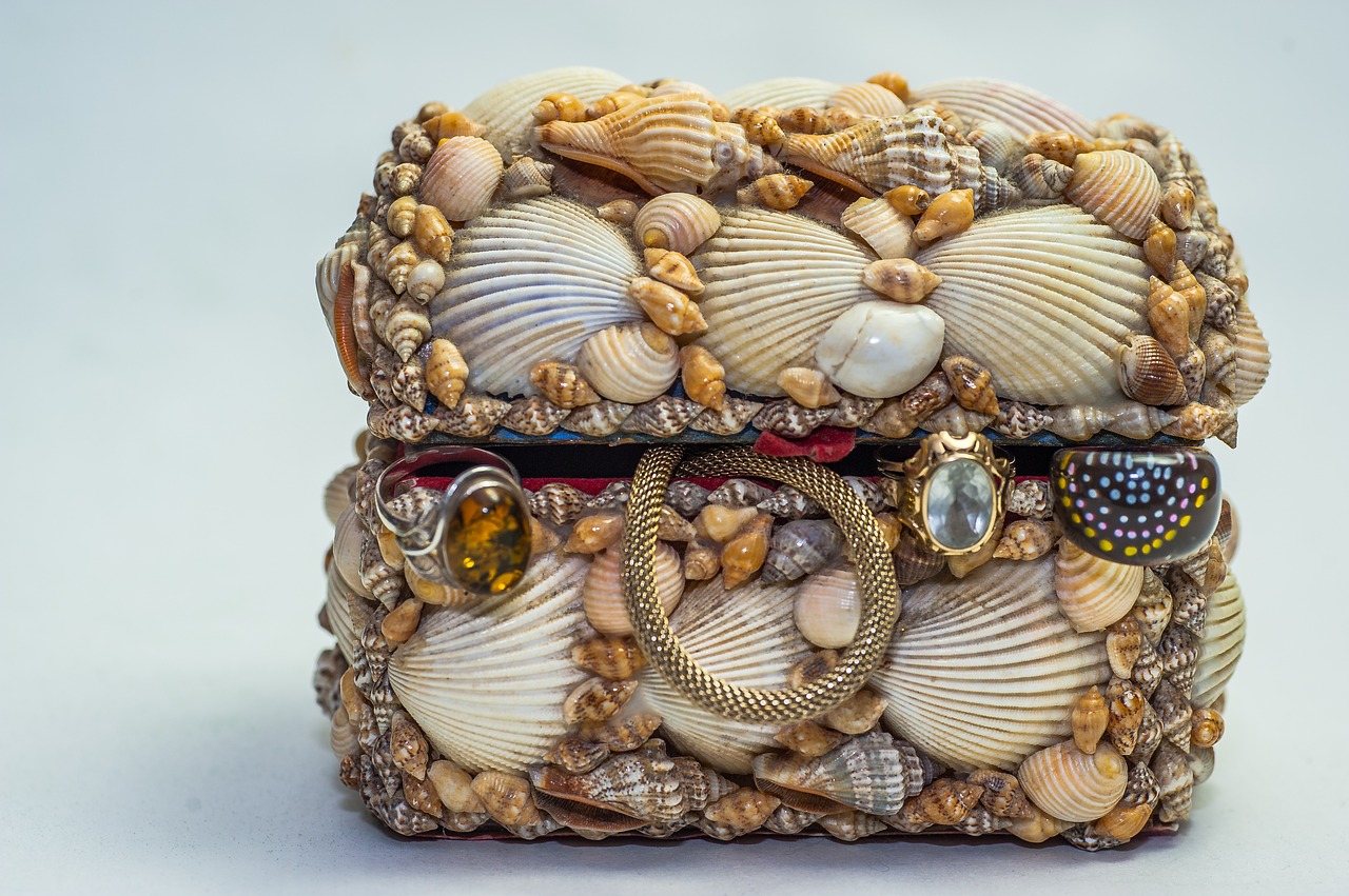 treasure chest jewellry mussels free photo