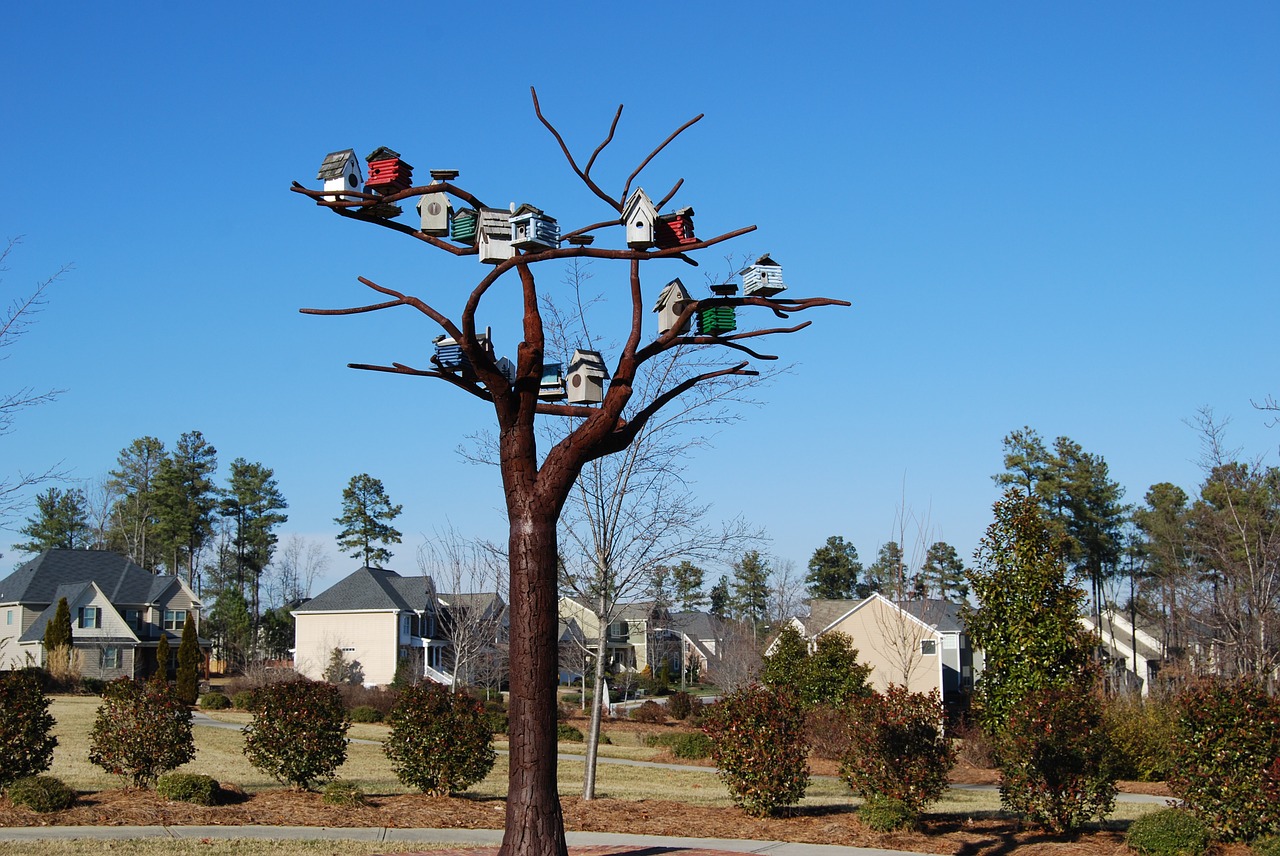 birdhouses bird houses steel tree free photo