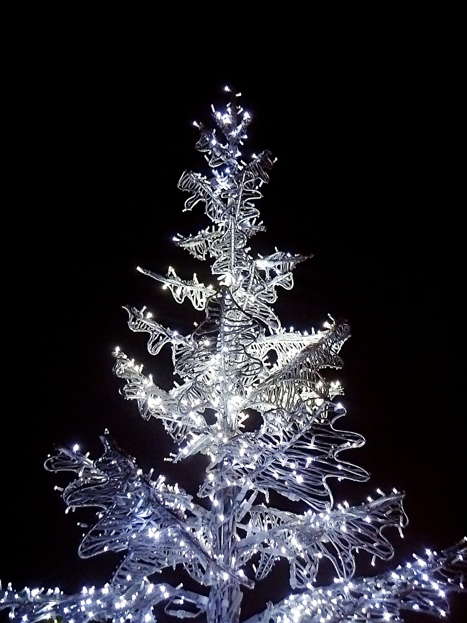 tree christmas tree electric christmas tree free photo