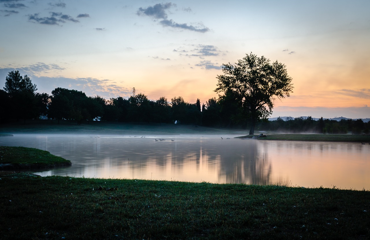 tree reflections park free photo