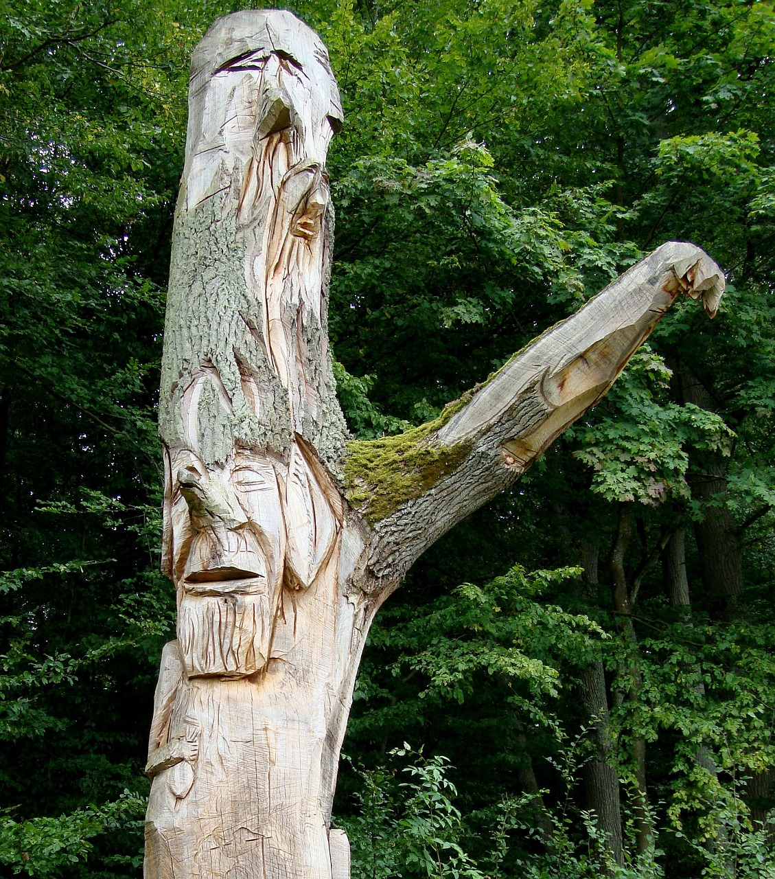 tree nature sculpture free photo