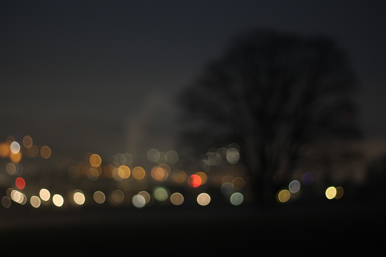 bokeh tree night free photo