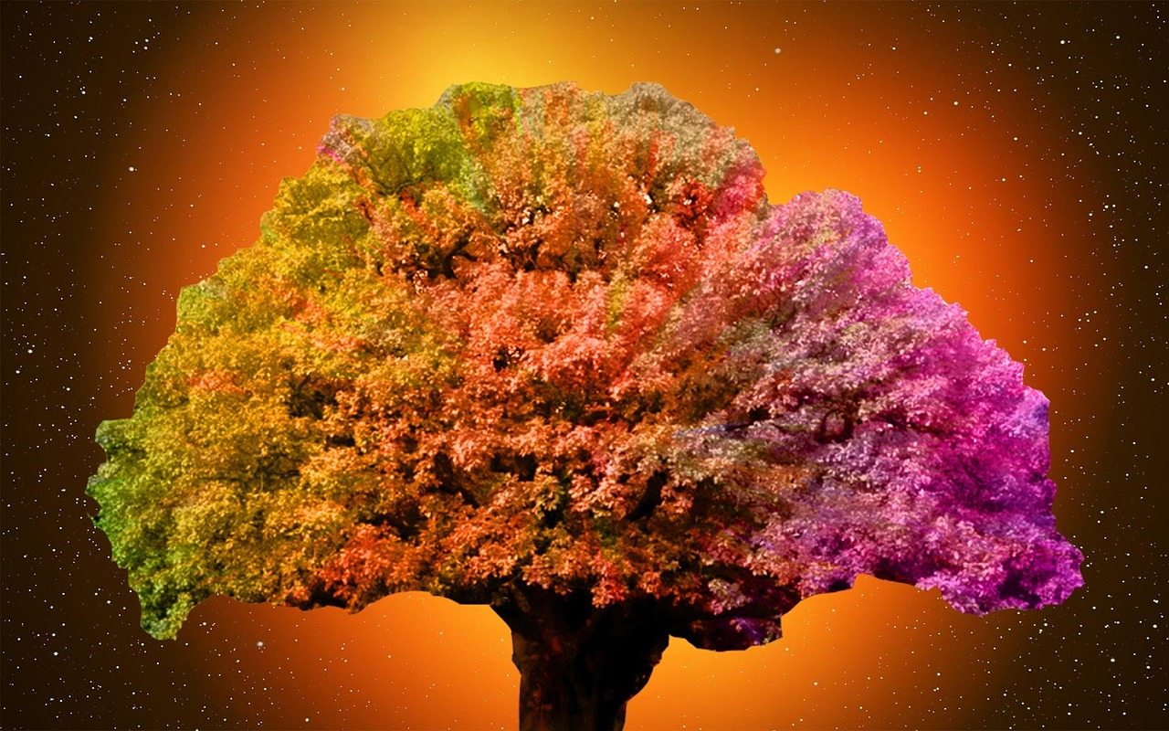 tree colorful yellow free photo