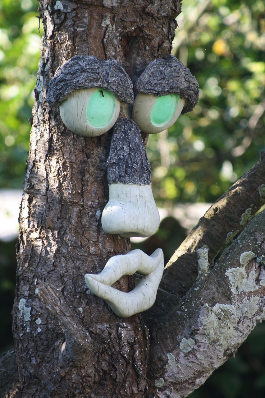 tree face tortuous free photo