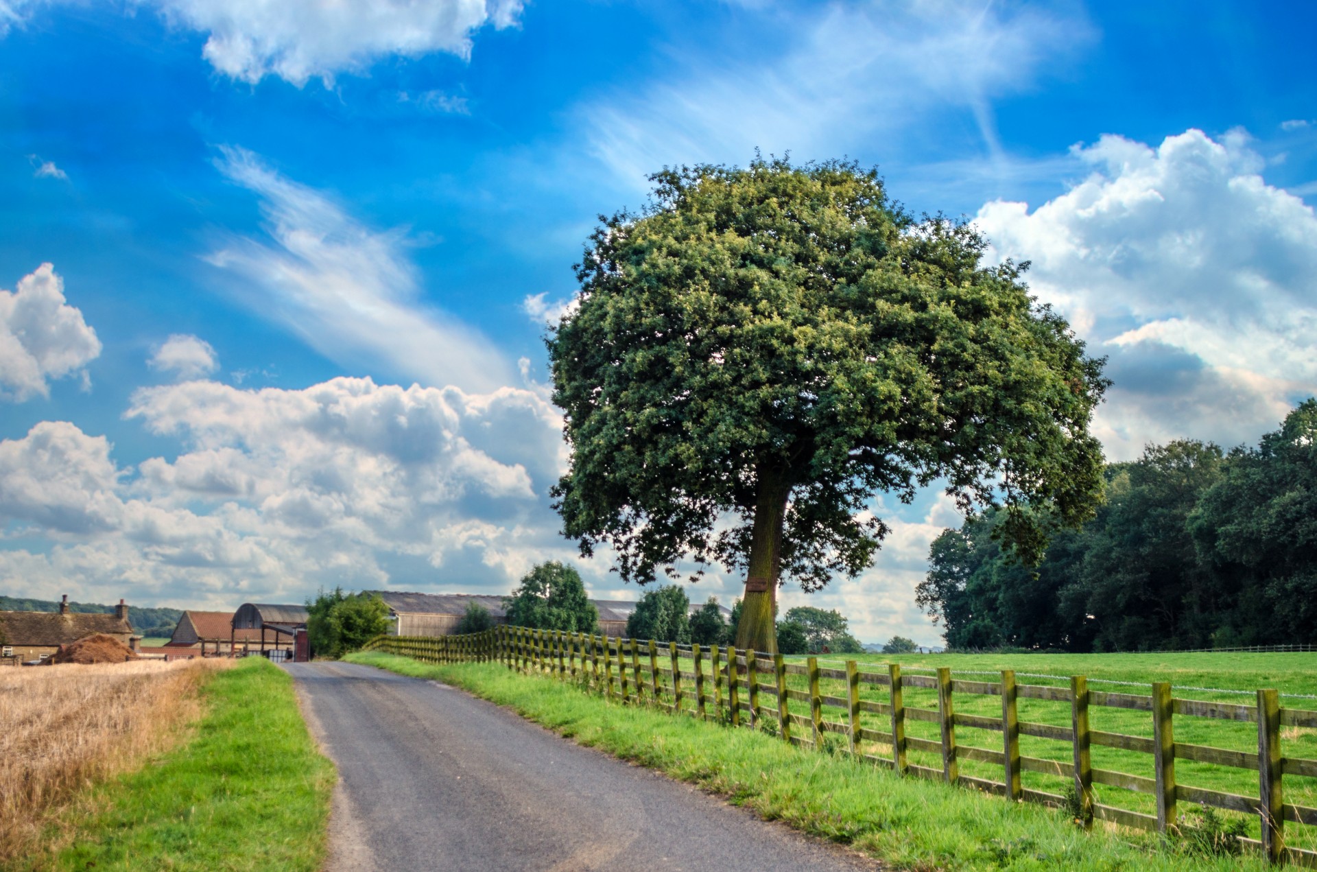 landscape agriculture tree free photo