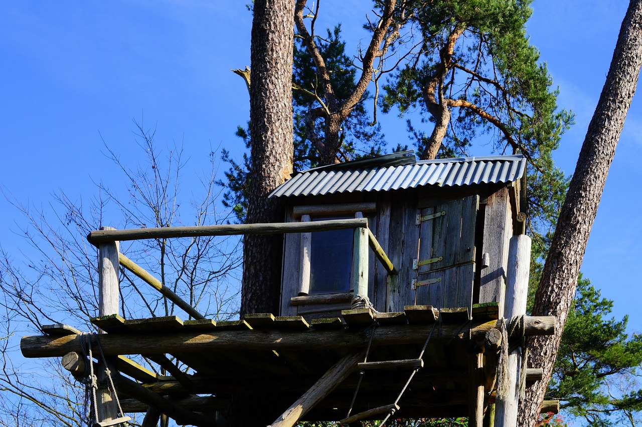 tree treehouse nature free photo