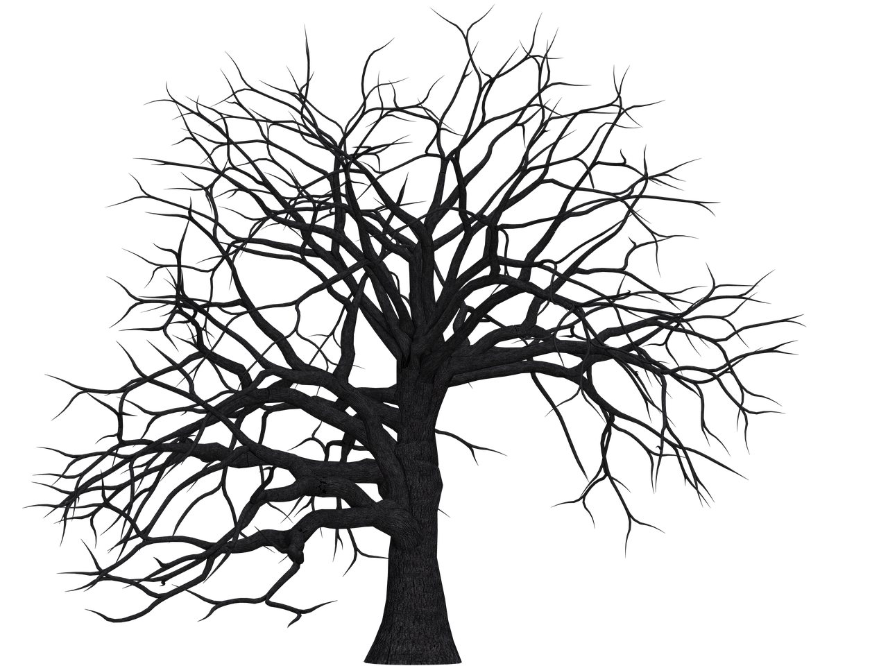 tree digital art isolated free photo