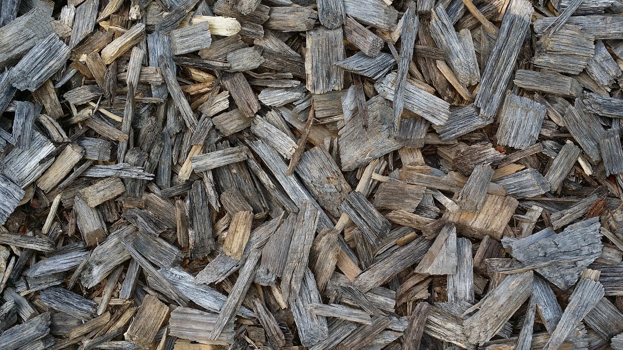 tree wood chips wood background free photo