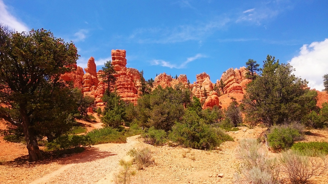 tree mountain desert free photo