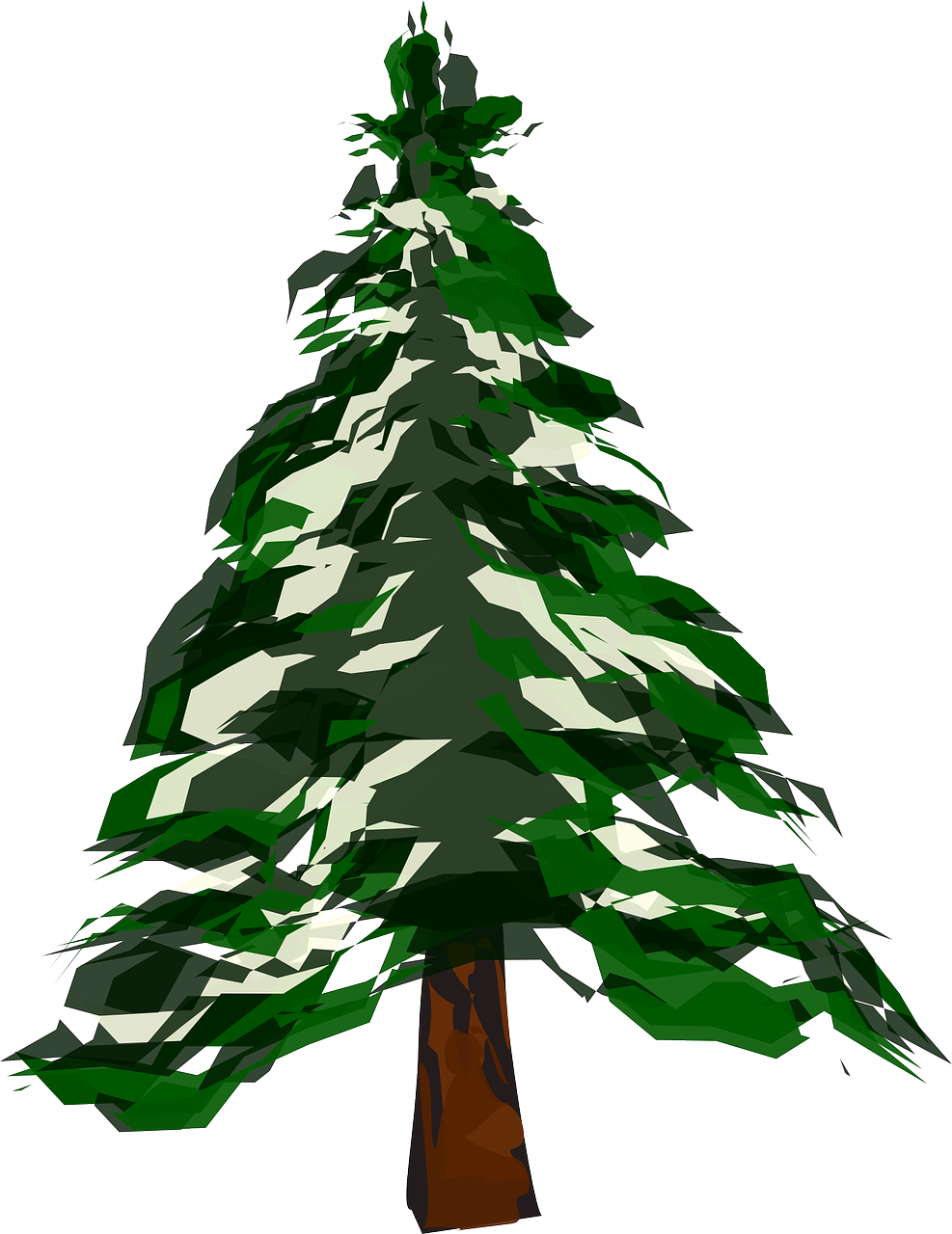 tree fir christmas free photo