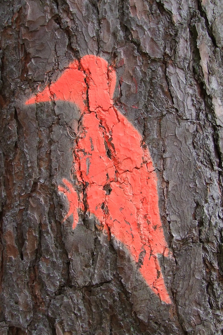 tree log woodpecker free photo