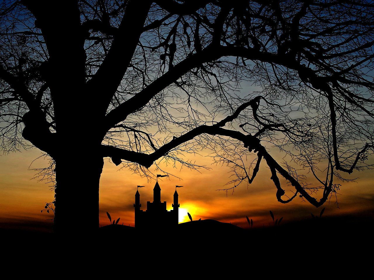 tree castle sunset free photo
