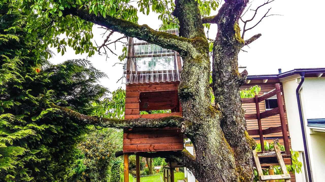 tree treehouse nature free photo