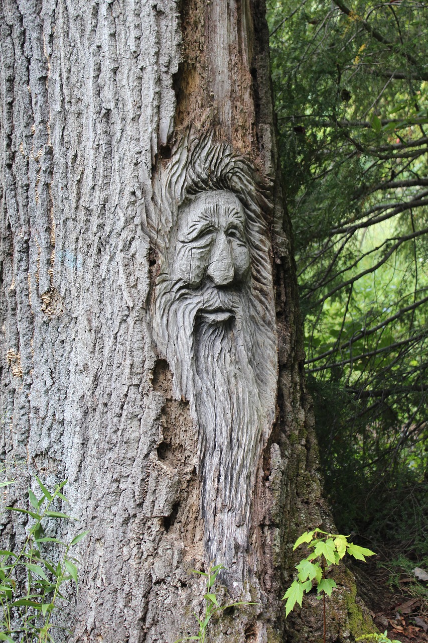 face tree carving free photo