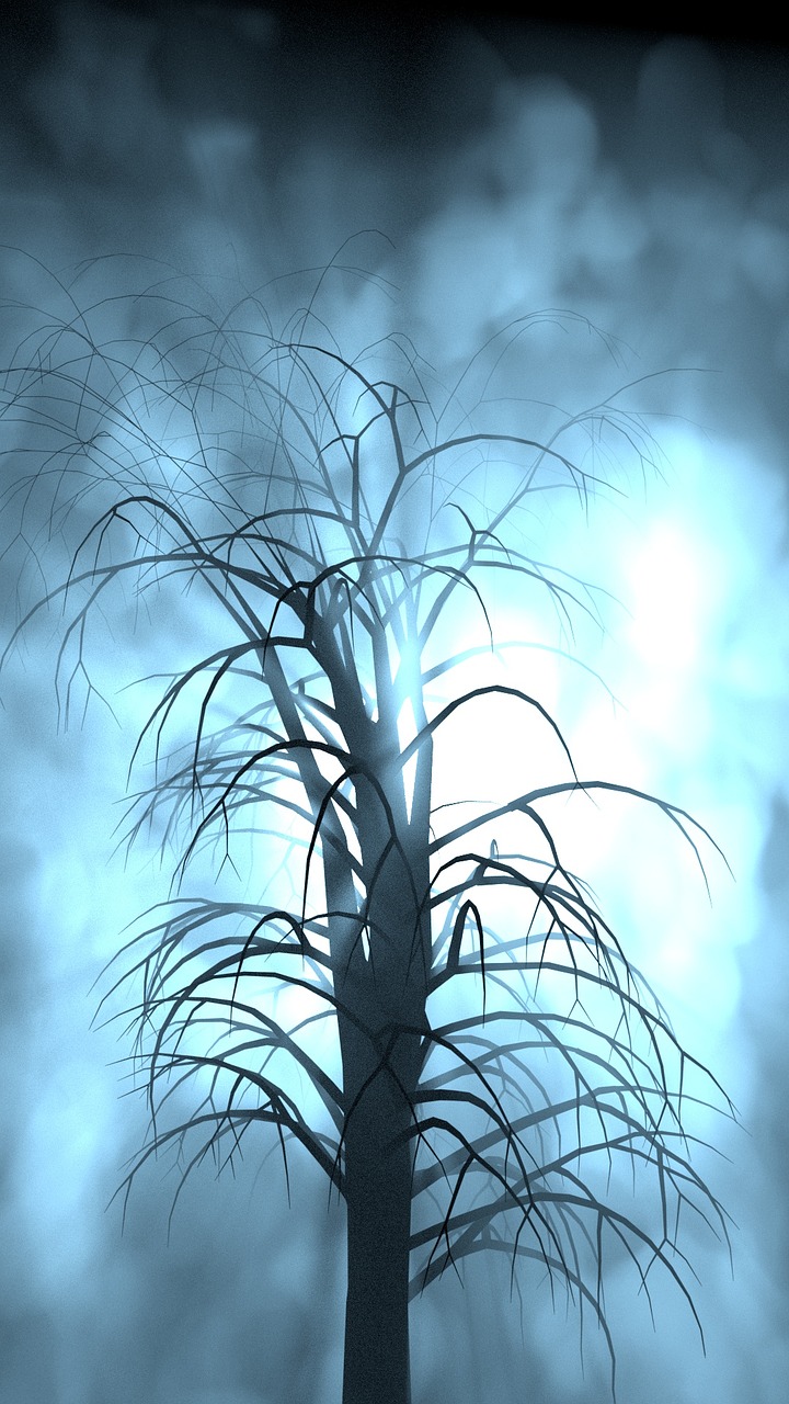 tree blue fog free photo