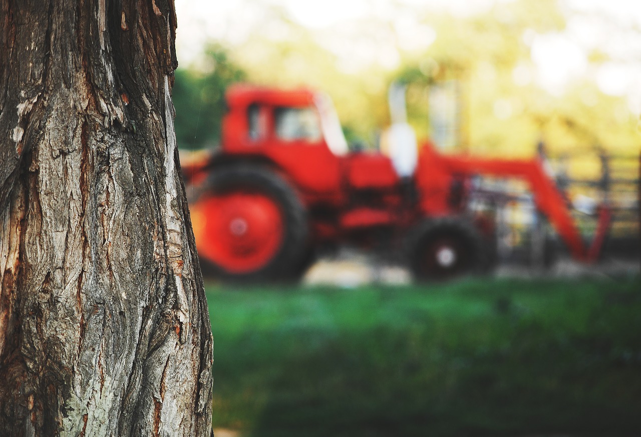 tree tractor village free photo