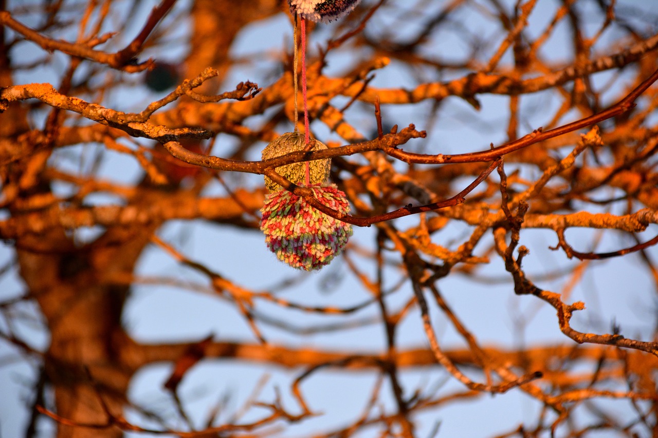 tree deco nature free photo