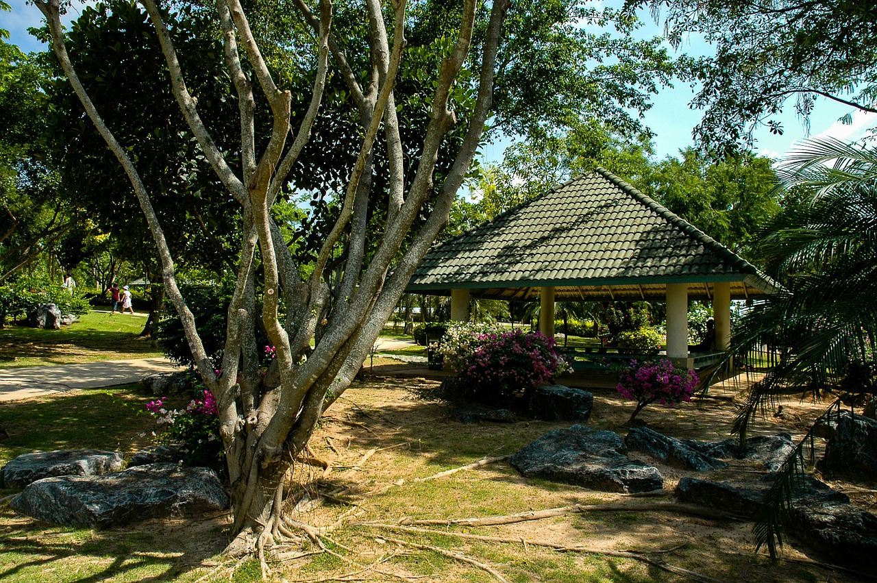 tree tree roots hut free photo