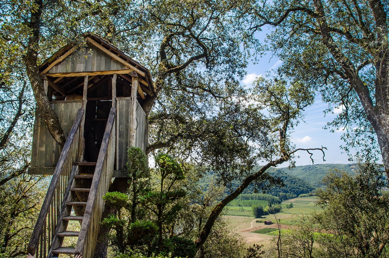 tree house play free photo