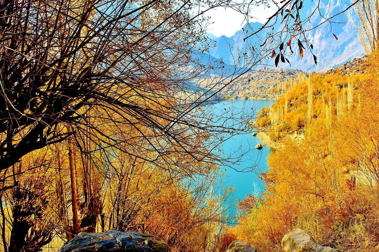 tree lake pakistan free photo